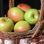 A Vacation Paradise At Quail Ridge B&B