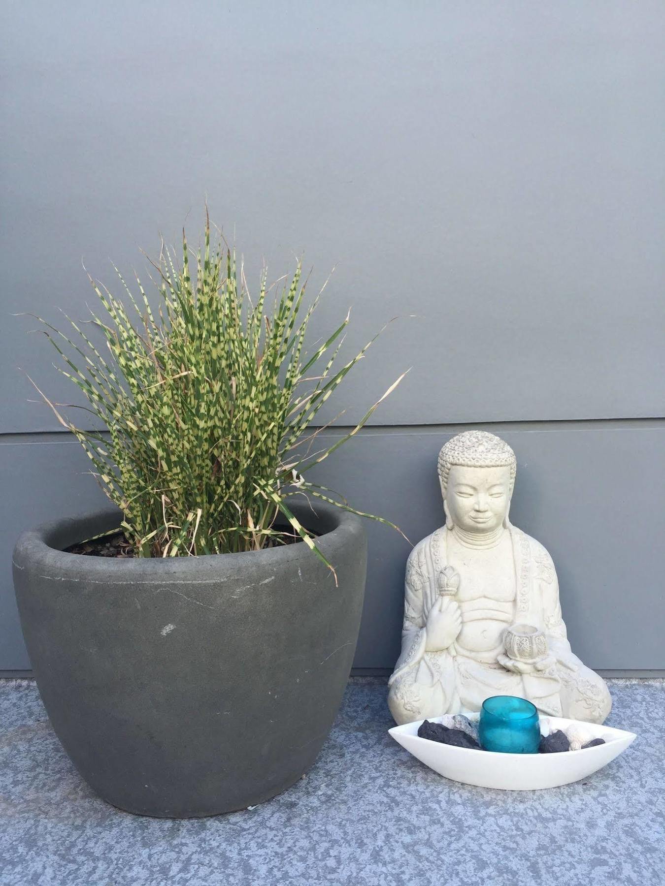 Serenity 2*